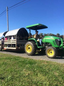 On a Ride to the Orchard to Pick Your Own Apples and More- Thurmont MD