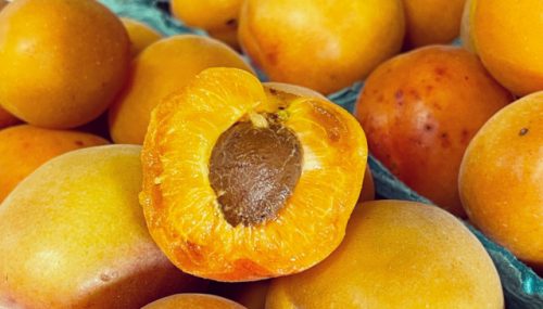 Yellow Apricots